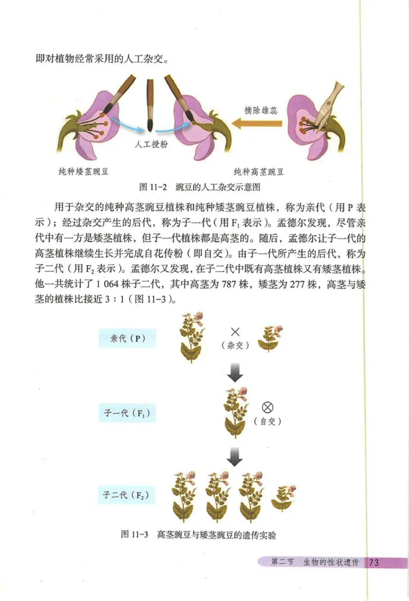 北京版八年级生物上册_初中电子课本_9.生物_北京版
