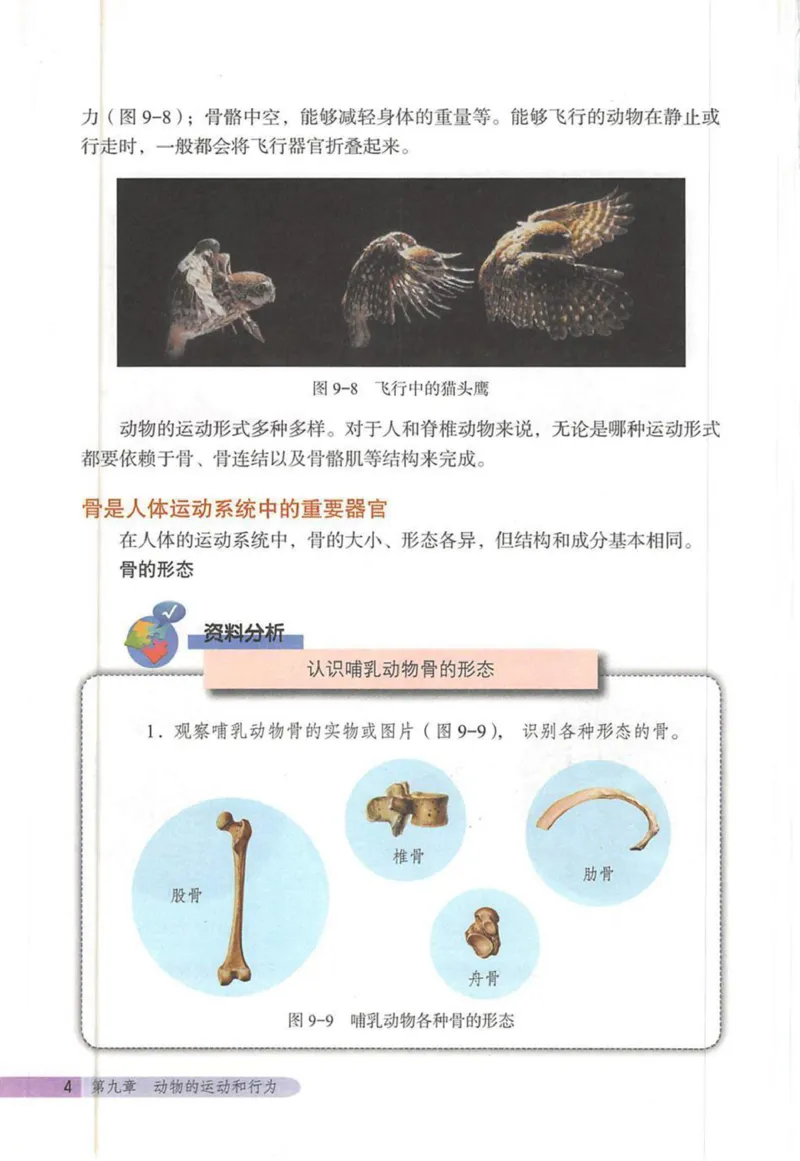 北京版八年级生物上册_初中电子课本_9.生物_北京版