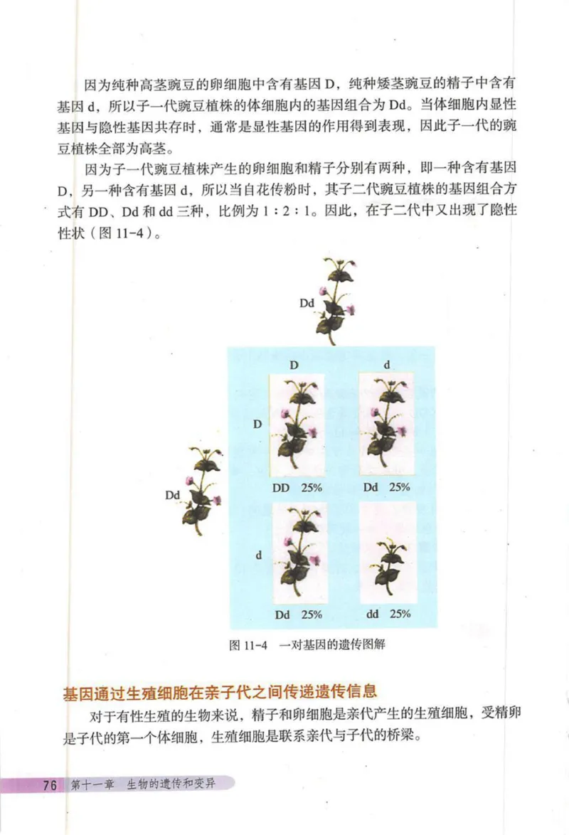 北京版八年级生物上册_初中电子课本_9.生物_北京版