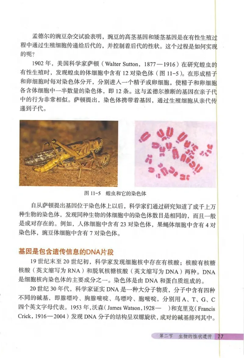 北京版八年级生物上册_初中电子课本_9.生物_北京版
