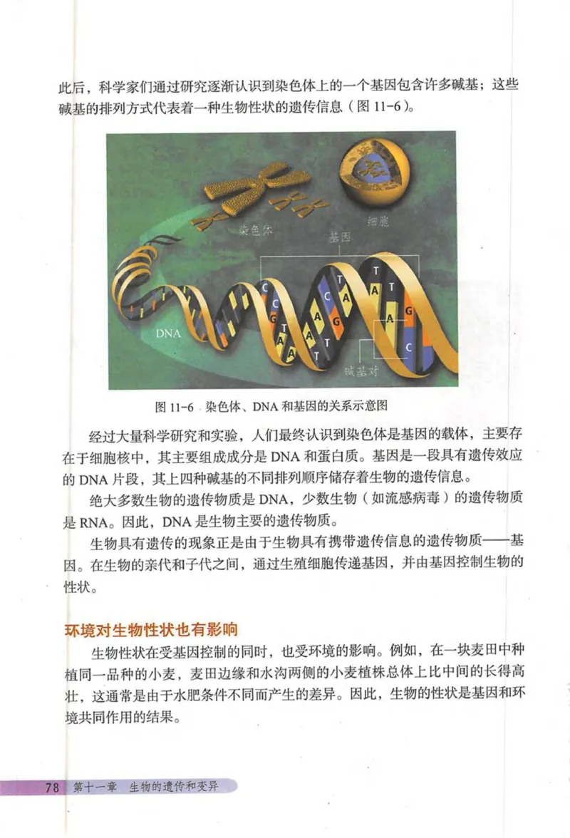 北京版八年级生物上册_初中电子课本_9.生物_北京版