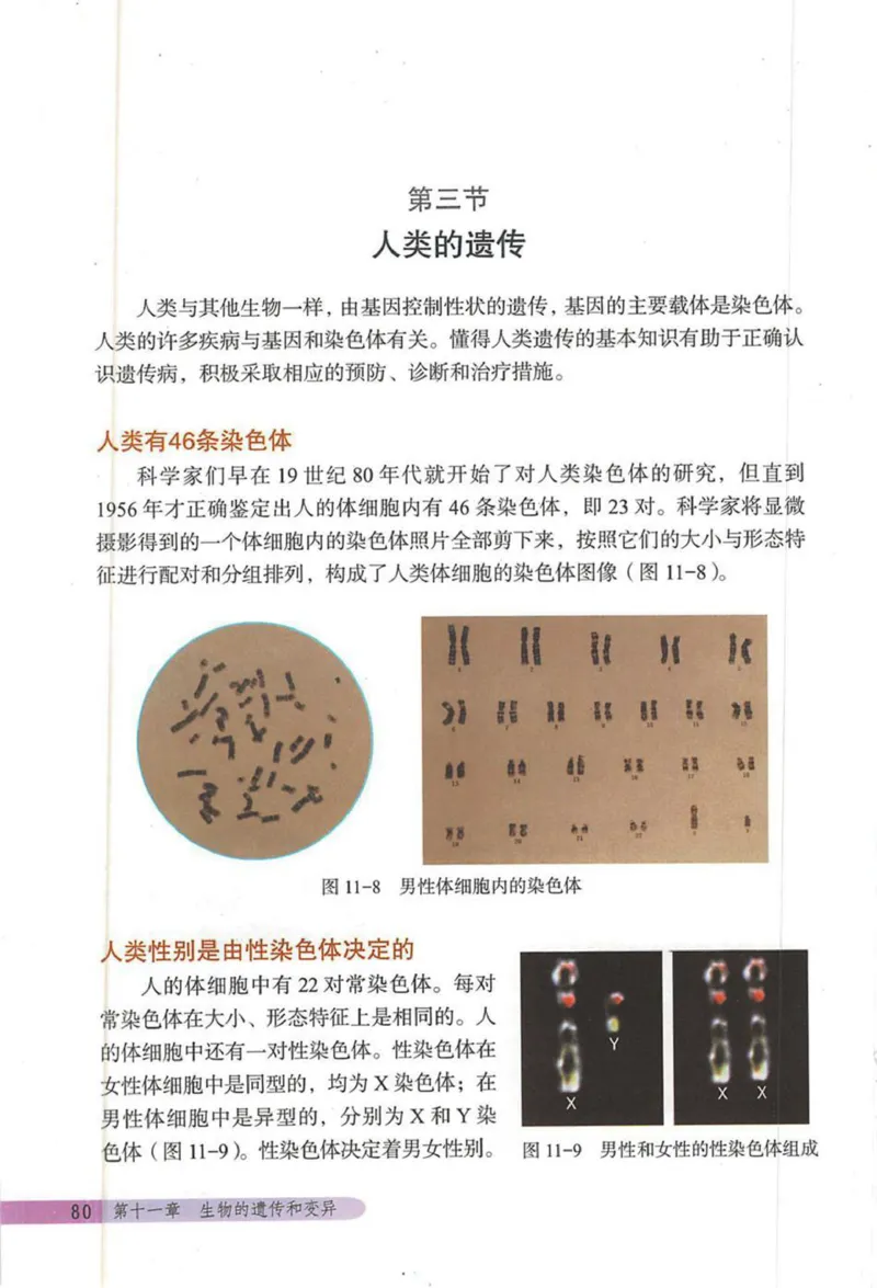 北京版八年级生物上册_初中电子课本_9.生物_北京版