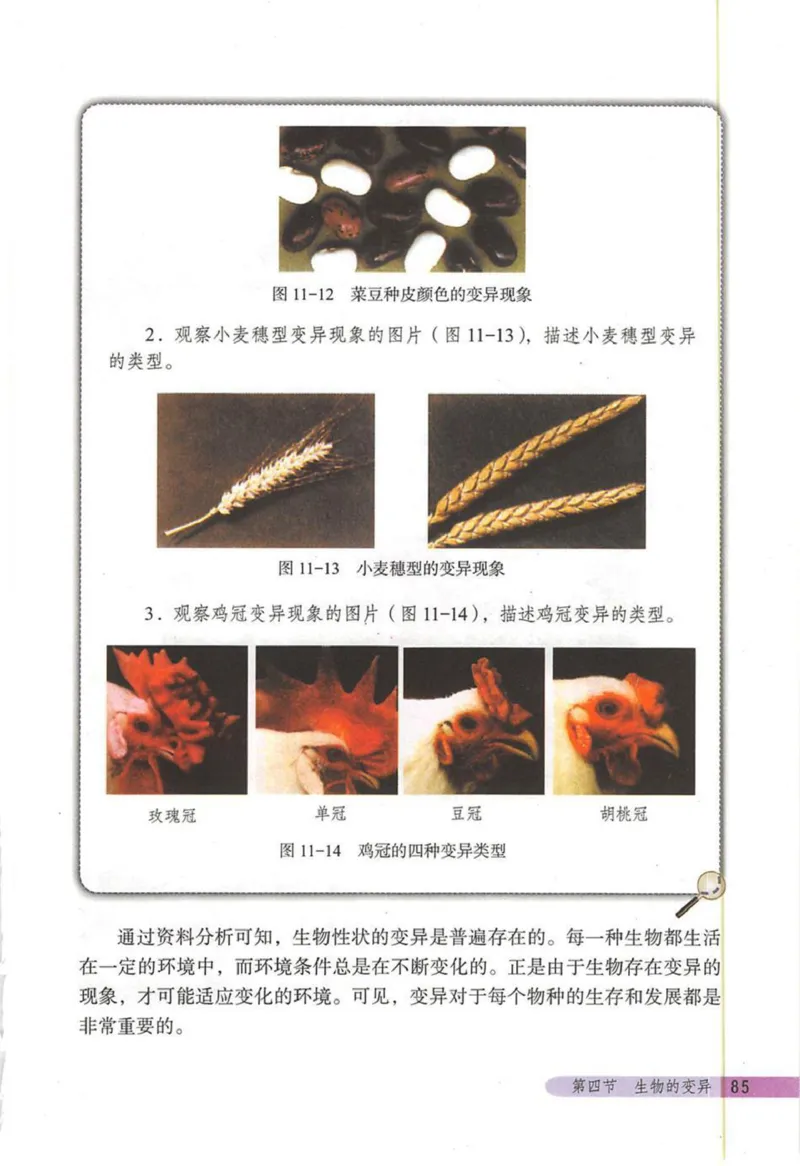 北京版八年级生物上册_初中电子课本_9.生物_北京版