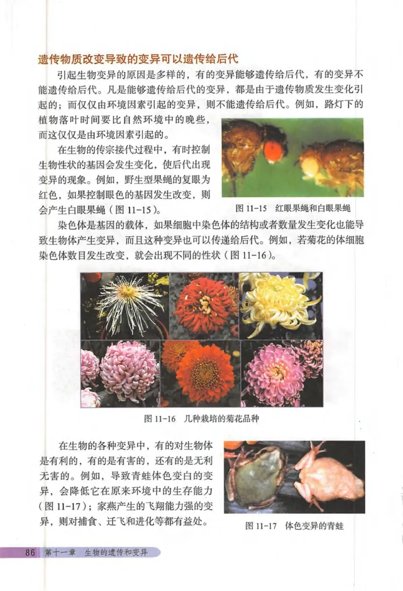 北京版八年级生物上册_初中电子课本_9.生物_北京版