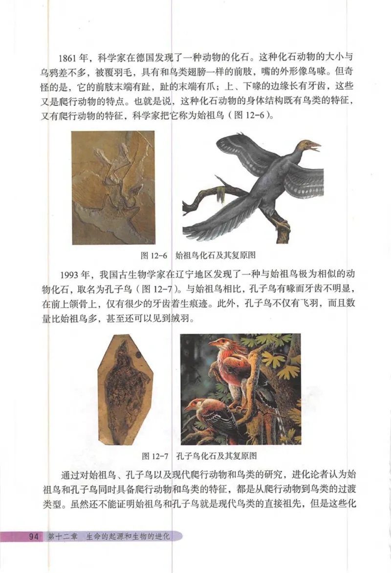 北京版八年级生物上册_初中电子课本_9.生物_北京版