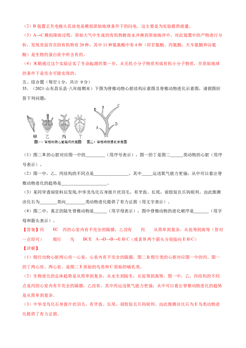 03生命起源和生物进化B卷（解析版）_初中全科电子版试卷练习试题_生物_生物8下练习_人教生物8年级下单元试卷38份_第3套八年级生物下册单元试卷（人教版）06份