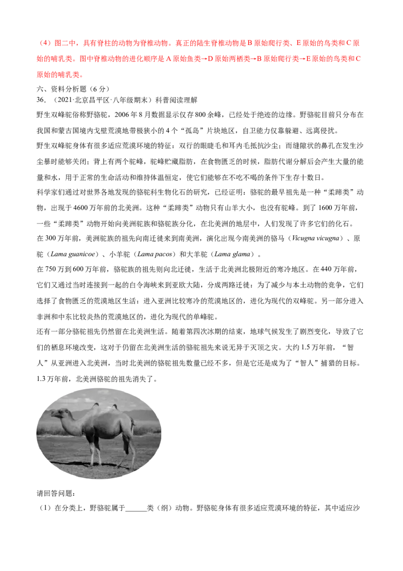 03生命起源和生物进化B卷（解析版）_初中全科电子版试卷练习试题_生物_生物8下练习_人教生物8年级下单元试卷38份_第3套八年级生物下册单元试卷（人教版）06份