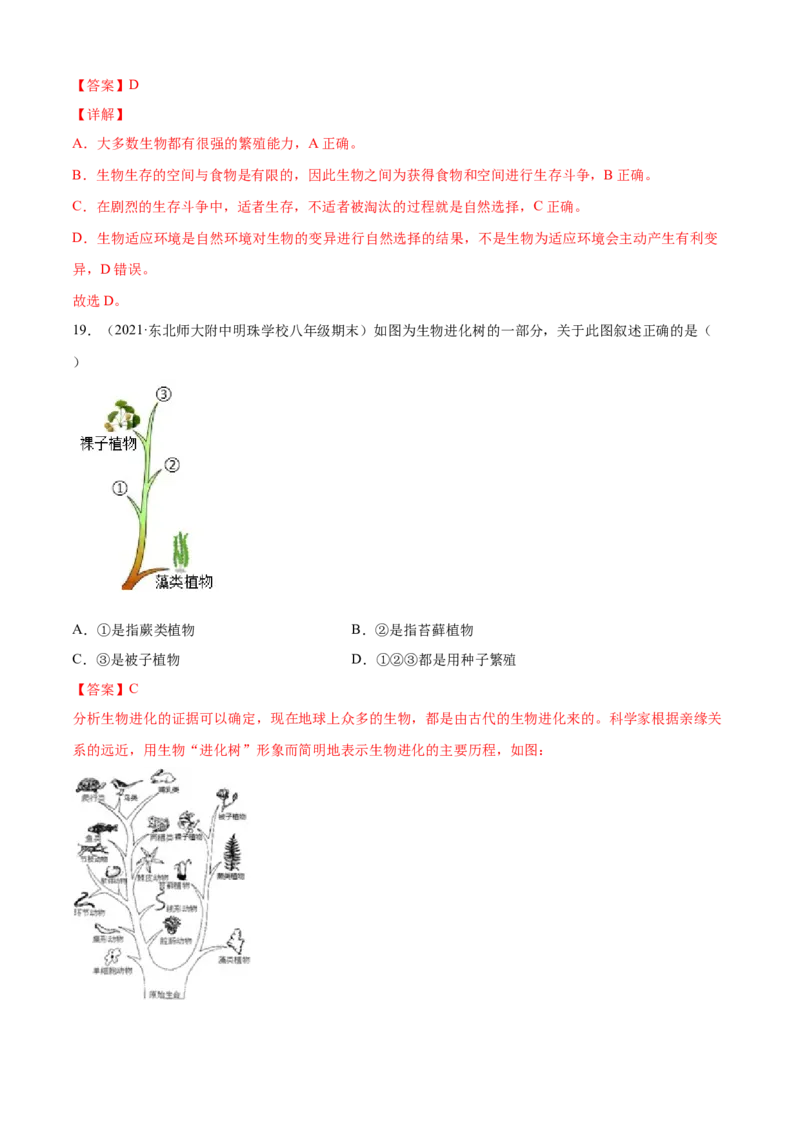 03生命起源和生物进化B卷（解析版）_初中全科电子版试卷练习试题_生物_生物8下练习_人教生物8年级下单元试卷38份_第3套八年级生物下册单元试卷（人教版）06份