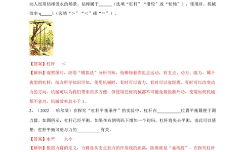 专题19杠杆问题攻略解析版_8、物理总复习_8.中考物理总复习_2023年中考复习资料_专项复习_2023年中考物理重难点瓶颈突破（难点剖析+真题汇编+原创预测）（全国通用）_解析版