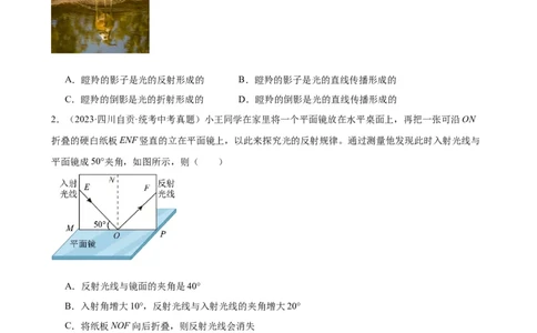 专题4光现象4.2光的反射（学生版）_8、物理总复习_2024年中考复习资料_专项复习资料_完三年（2021&mdash;2023）中考真题分项精编（全国通用）