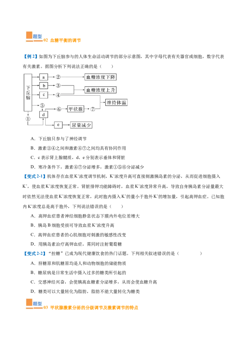 专题13内环境与体液调节（8大题型）（原卷版）_2025年新高考资料_一轮复习_备战2025年高考生物一轮复习题型全覆盖（新高考通用）