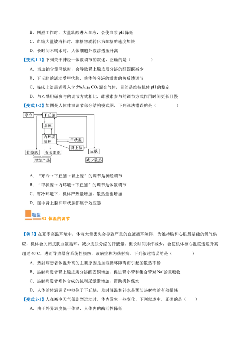 专题13内环境与体液调节（8大题型）（原卷版）_2025年新高考资料_一轮复习_备战2025年高考生物一轮复习题型全覆盖（新高考通用）