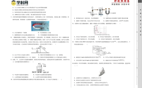 科学（浙江卷）-（考试版）A3_8、物理总复习_2024中考模拟题物理_押题预测_2024年中考押题预测卷01（浙江卷）-科学（含考试版、全解全析、参考答案、答题卡）