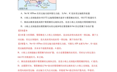 黄金卷02（解析版）-赢在高考&middot;黄金8卷备战2024年高考生物模拟卷（江苏专用）_2024年新高考资料_4.2024高考模拟预测试卷