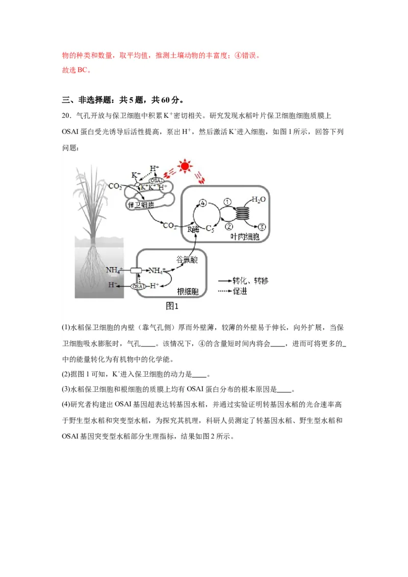 黄金卷02（解析版）-赢在高考&middot;黄金8卷备战2024年高考生物模拟卷（江苏专用）_2024年新高考资料_4.2024高考模拟预测试卷