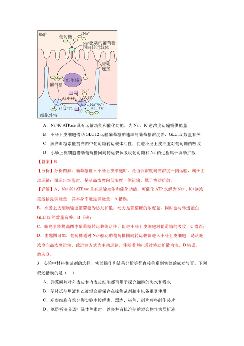 黄金卷02（解析版）-赢在高考&middot;黄金8卷备战2024年高考生物模拟卷（江苏专用）_2024年新高考资料_4.2024高考模拟预测试卷
