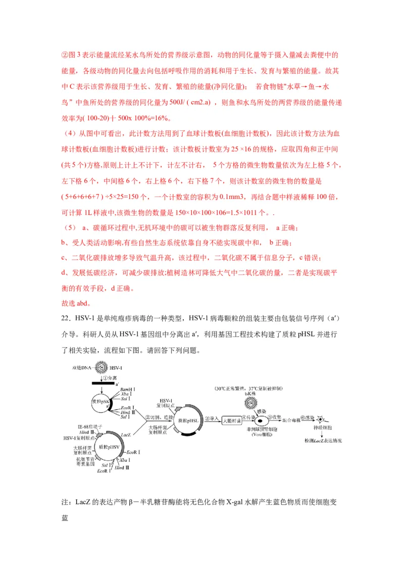 黄金卷02（解析版）-赢在高考&middot;黄金8卷备战2024年高考生物模拟卷（江苏专用）_2024年新高考资料_4.2024高考模拟预测试卷