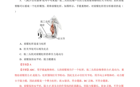 专题12简单机械（真题训练）(解析版）_8、物理总复习_8.中考物理总复习_2024年中考复习资料_一轮复习资料_完2024年中考物理一轮复习课件+练习_配套练习_教师版（含答案解析）