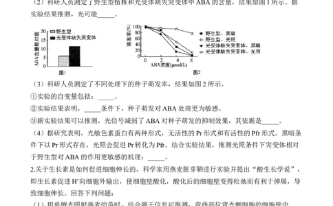 专题10植物生命活动的调节（非选择题）&mdash;&mdash;2025届高考生物学模块分练新高考版（含解析）_2025年新高考资料_二轮复习