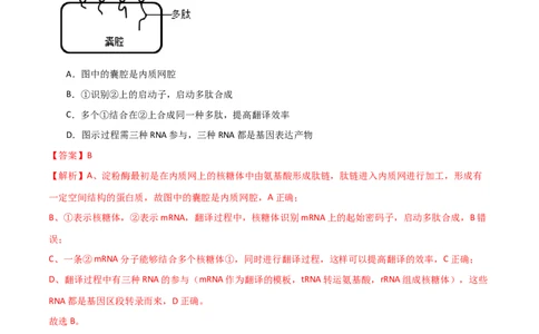黄金卷07（解析版）-赢在高考&middot;黄金8卷备战2024年高考生物模拟卷（浙江专用）_2024年新高考资料_4.2024高考模拟预测试卷