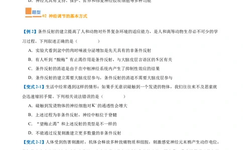 专题12神经调节（6大题型）（原卷版）_2025年新高考资料_一轮复习_备战2025年高考生物一轮复习题型全覆盖（新高考通用）