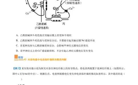 专题12神经调节（6大题型）（原卷版）_2025年新高考资料_一轮复习_备战2025年高考生物一轮复习题型全覆盖（新高考通用）