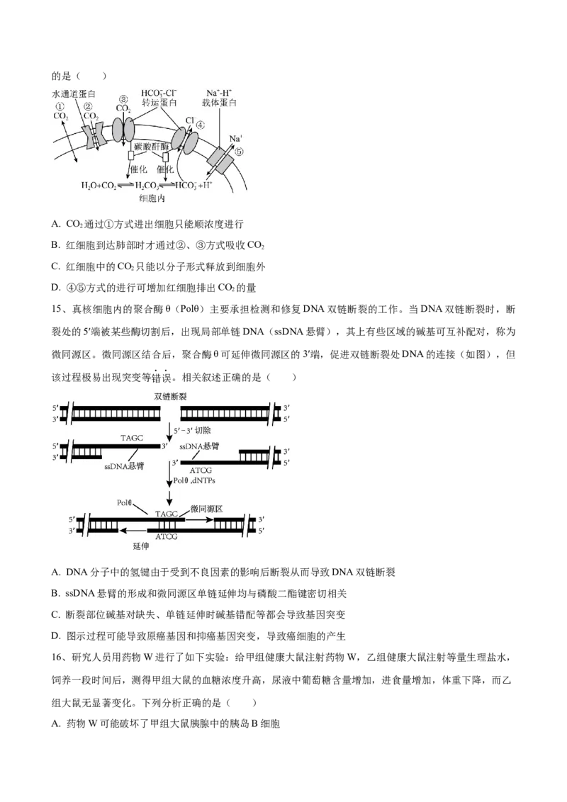 黄金卷03（考试版）-赢在高考&middot;黄金8卷备战2024年高考生物模拟卷（河北专用）_2024年新高考资料_4.2024高考模拟预测试卷