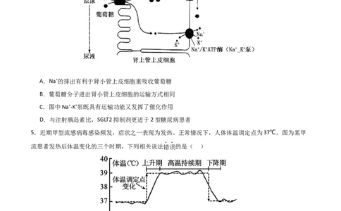 黄金卷05（考试版）-赢在高考&middot;黄金8卷备战2024年高考生物模拟卷（北京专用）_2024年新高考资料_4.2024高考模拟预测试卷