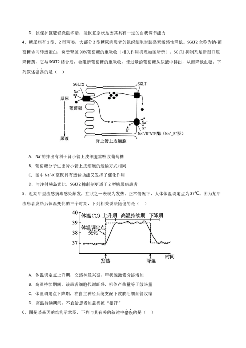 黄金卷05（考试版）-赢在高考&middot;黄金8卷备战2024年高考生物模拟卷（北京专用）_2024年新高考资料_4.2024高考模拟预测试卷