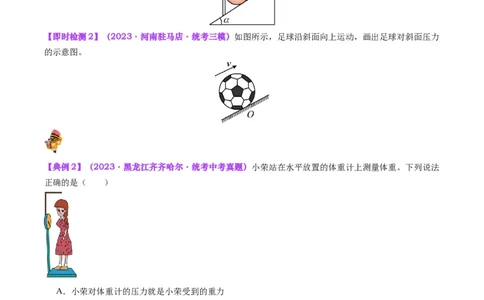 专题10压力与压强（原卷版）_8、物理总复习_2024年中考复习资料_一轮复习_完备战2024年中考物理一轮复习考点帮（全国通用）