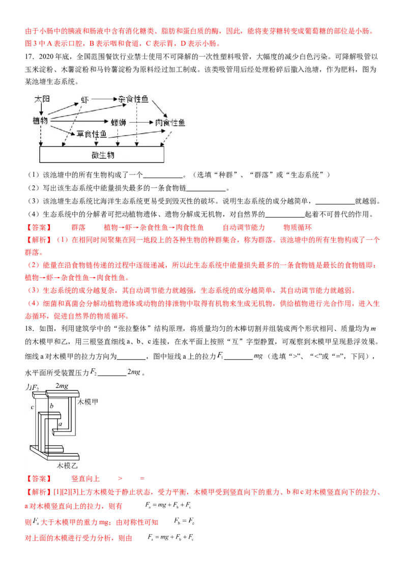 科学（浙江卷）-（全解全析）_8、物理总复习_2024中考模拟题物理_押题预测_2024年中考押题预测卷01（浙江卷）-科学（含考试版、全解全析、参考答案、答题卡）