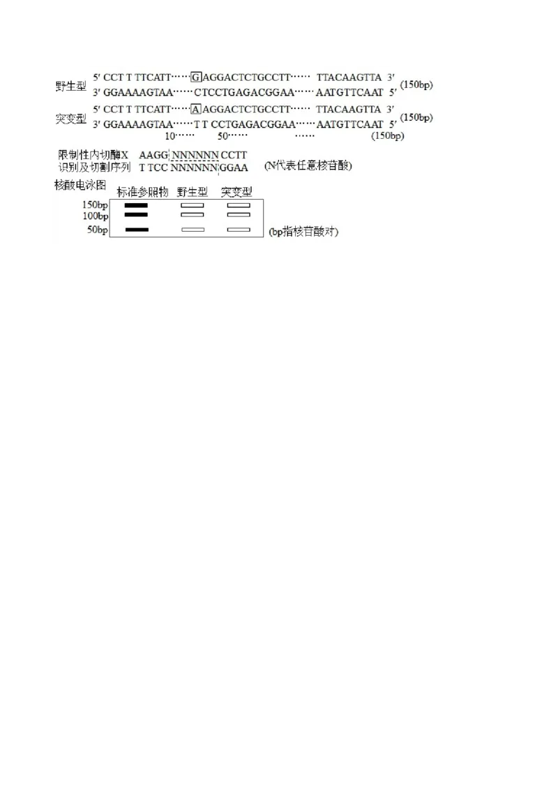 黄金卷07（考试版）-赢在高考&middot;黄金8卷备战2024年高考生物模拟卷（湖北专用）_2024年新高考资料_4.2024高考模拟预测试卷