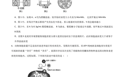黄金卷03（考试版）-赢在高考&middot;黄金8卷备战2024年高考生物模拟卷（海南专用）_2024年新高考资料_4.2024高考模拟预测试卷
