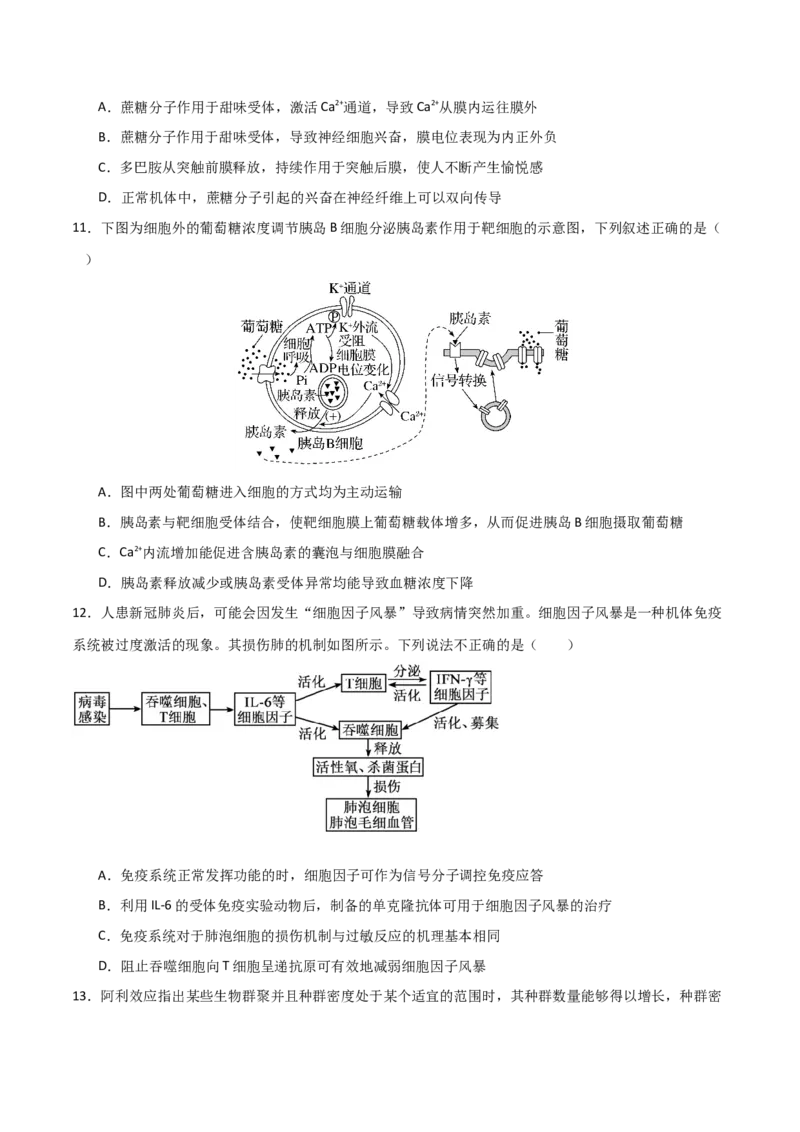 黄金卷03（考试版）-赢在高考&middot;黄金8卷备战2024年高考生物模拟卷（海南专用）_2024年新高考资料_4.2024高考模拟预测试卷