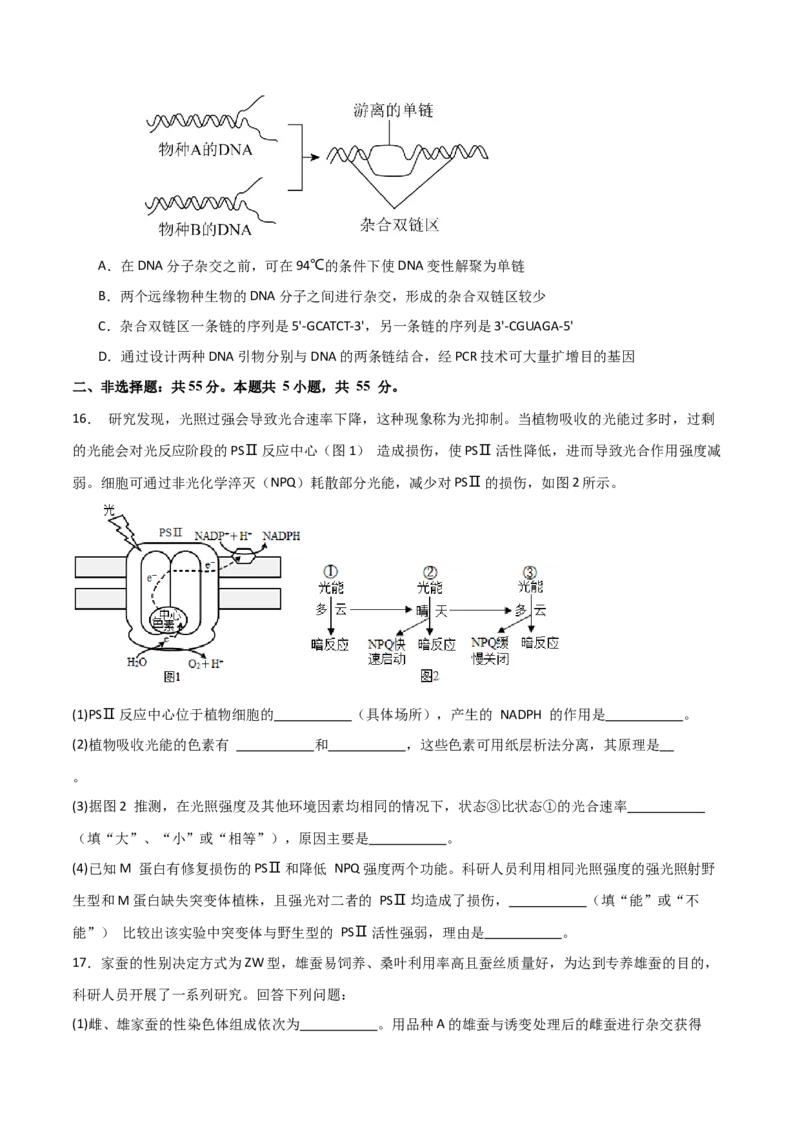 黄金卷03（考试版）-赢在高考&middot;黄金8卷备战2024年高考生物模拟卷（海南专用）_2024年新高考资料_4.2024高考模拟预测试卷