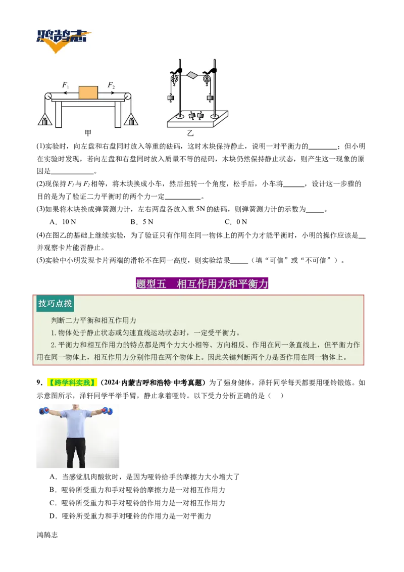 专题09运动和力（讲义）（原卷版）_8、物理总复习_《2025年中考复习讲义》物理