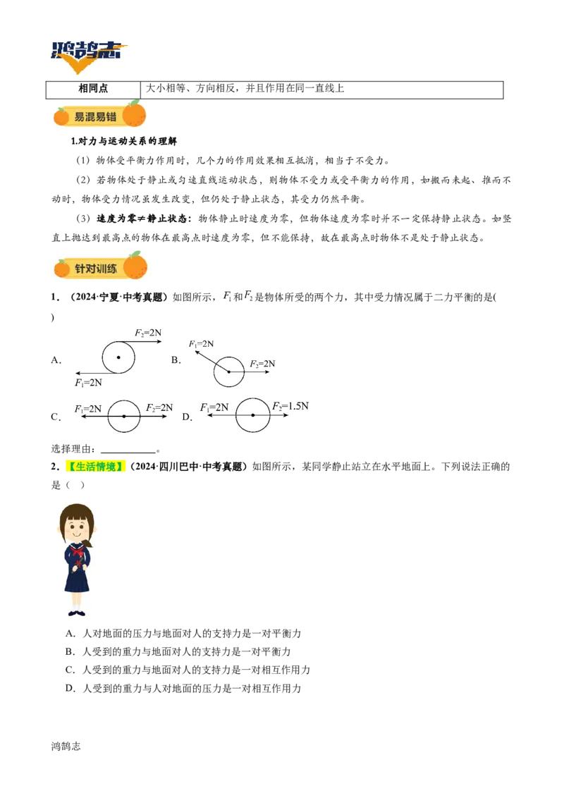 专题09运动和力（讲义）（原卷版）_8、物理总复习_《2025年中考复习讲义》物理