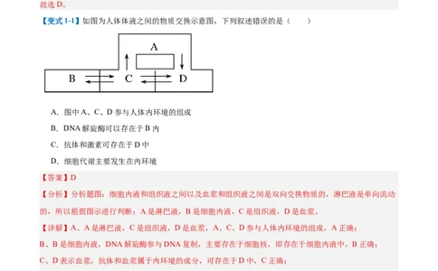专题13内环境与体液调节（8大题型）（解析版）_2025年新高考资料_一轮复习_备战2025年高考生物一轮复习题型全覆盖（新高考通用）