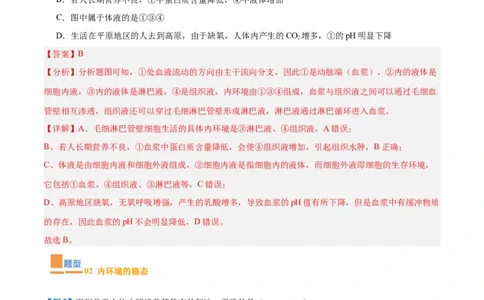 专题13内环境与体液调节（8大题型）（解析版）_2025年新高考资料_一轮复习_备战2025年高考生物一轮复习题型全覆盖（新高考通用）
