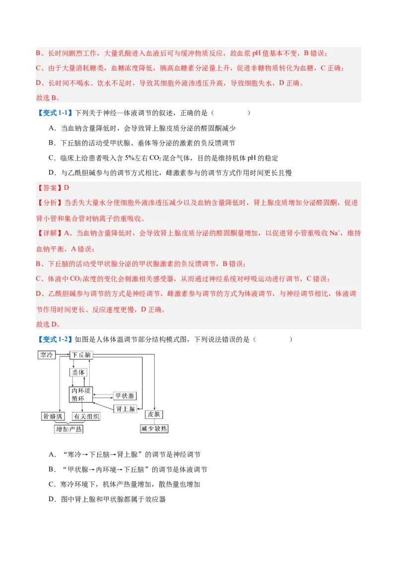 专题13内环境与体液调节（8大题型）（解析版）_2025年新高考资料_一轮复习_备战2025年高考生物一轮复习题型全覆盖（新高考通用）