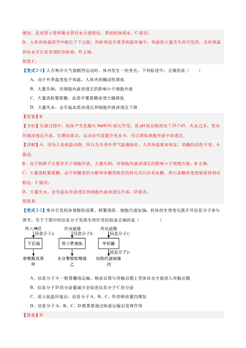 专题13内环境与体液调节（8大题型）（解析版）_2025年新高考资料_一轮复习_备战2025年高考生物一轮复习题型全覆盖（新高考通用）