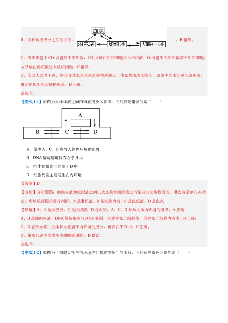 专题13内环境与体液调节（8大题型）（解析版）_2025年新高考资料_一轮复习_备战2025年高考生物一轮复习题型全覆盖（新高考通用）