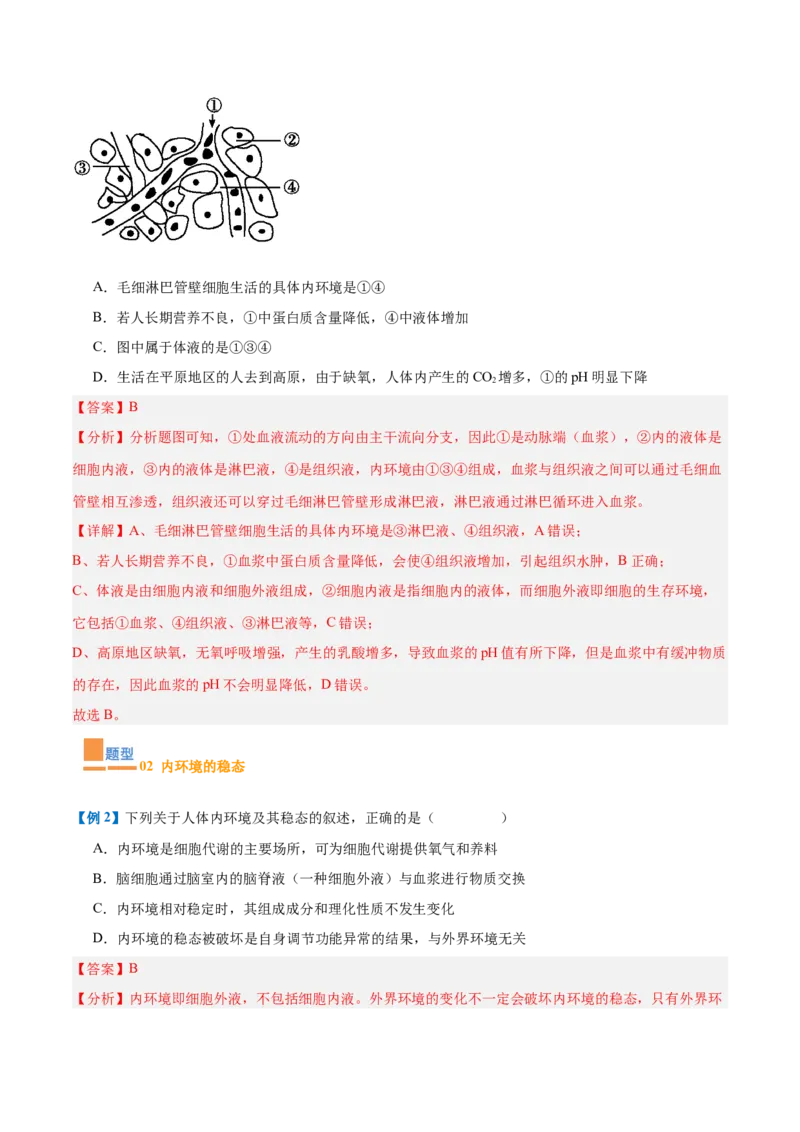 专题13内环境与体液调节（8大题型）（解析版）_2025年新高考资料_一轮复习_备战2025年高考生物一轮复习题型全覆盖（新高考通用）