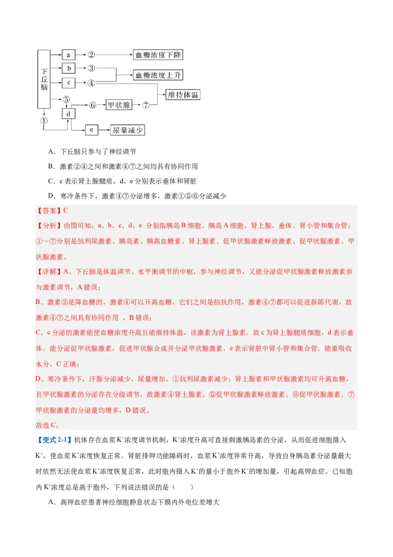 专题13内环境与体液调节（8大题型）（解析版）_2025年新高考资料_一轮复习_备战2025年高考生物一轮复习题型全覆盖（新高考通用）
