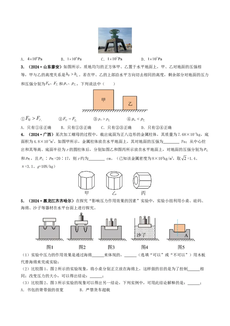 专题09压强（考情聚焦+中考新考法+真题透视4大考向+新题特训）（原卷版）_8、物理总复习_2025年中考复习资料_备战2025年中考物理真题题源讲义（全国通用）