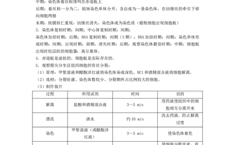 专题10细胞的增殖（解析版）_通用版（老高考）复习资料_2024年复习资料_完备战2024年高考生物一轮复习抢分特训（全国通用）_教师版（含答案解析）