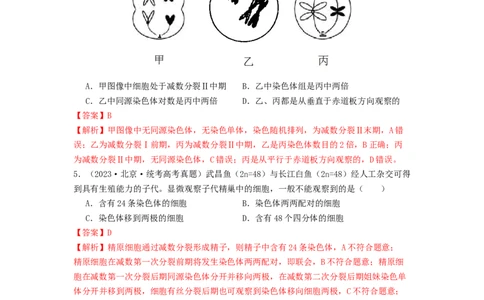 专题10细胞的增殖（解析版）_通用版（老高考）复习资料_2024年复习资料_完备战2024年高考生物一轮复习抢分特训（全国通用）_教师版（含答案解析）