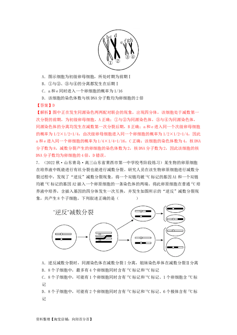 专题10细胞的增殖（解析版）_通用版（老高考）复习资料_2024年复习资料_完备战2024年高考生物一轮复习抢分特训（全国通用）_教师版（含答案解析）
