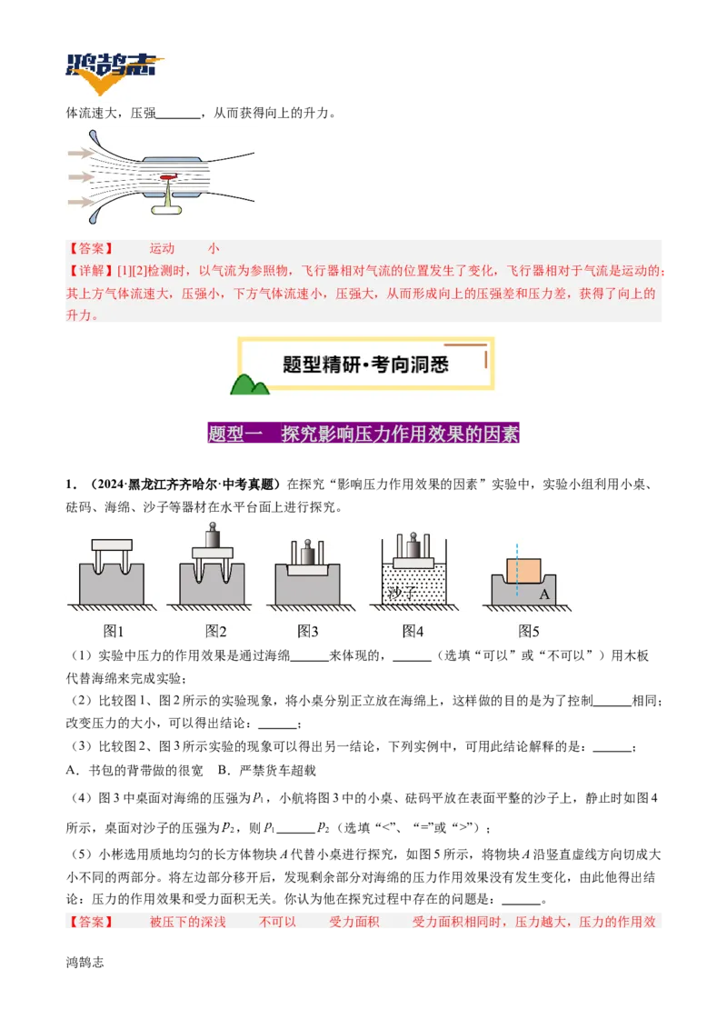 专题10压强（讲义）（解析版）_8、物理总复习_《2025年中考复习讲义》物理