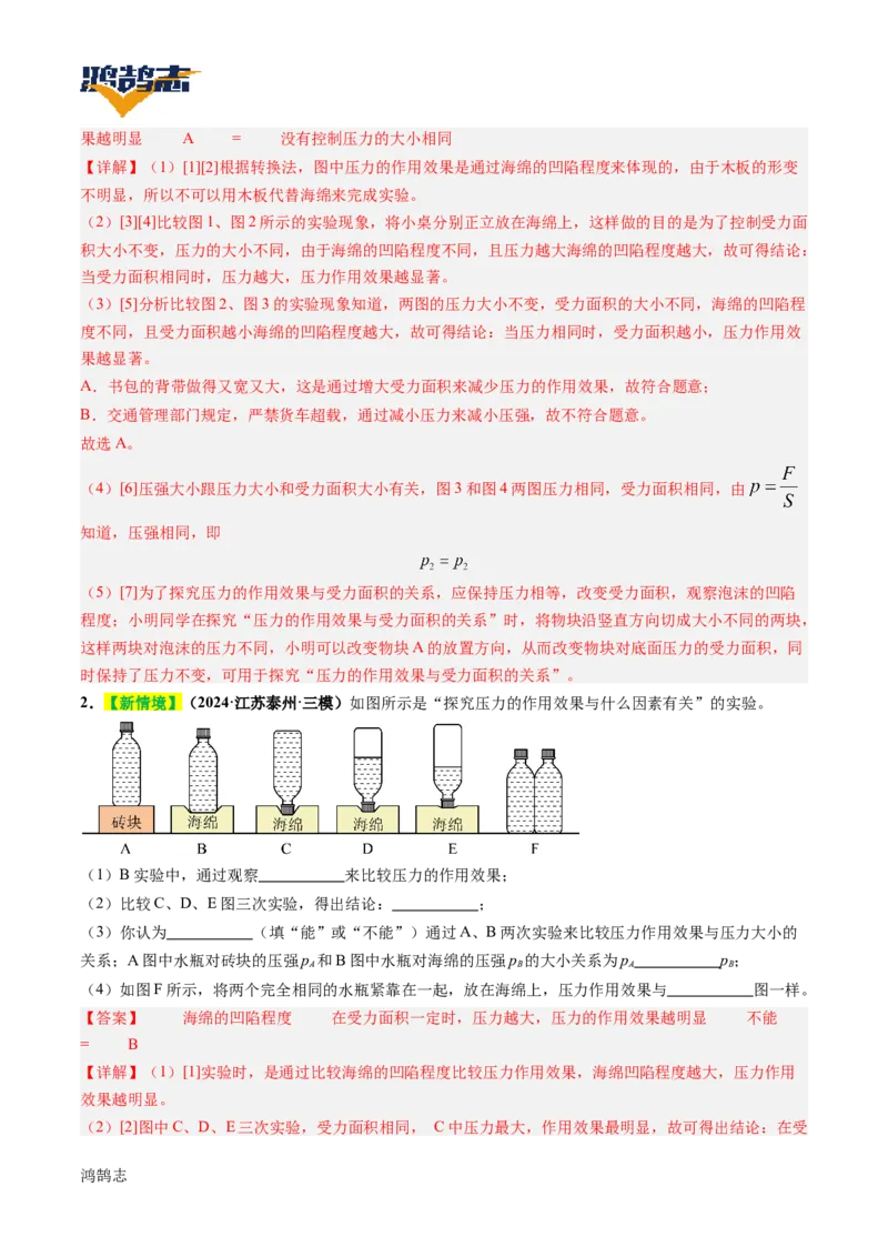 专题10压强（讲义）（解析版）_8、物理总复习_《2025年中考复习讲义》物理